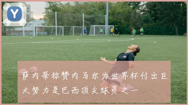 萨内蒂称赞内马尔为世界杯付出巨大努力是巴西顶尖球员之一