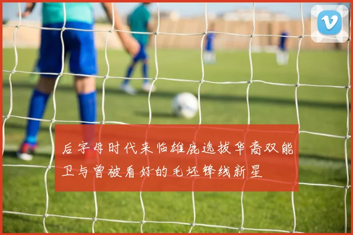 后字母时代来临雄鹿选拔华裔双能卫与曾被看好的毛坯锋线新星